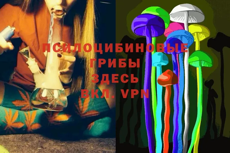 Галлюциногенные грибы Psilocybine cubensis  Верхотурье 